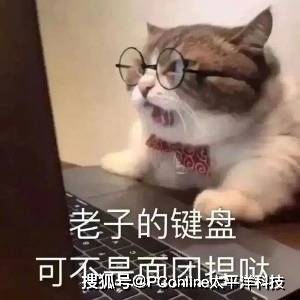 综合